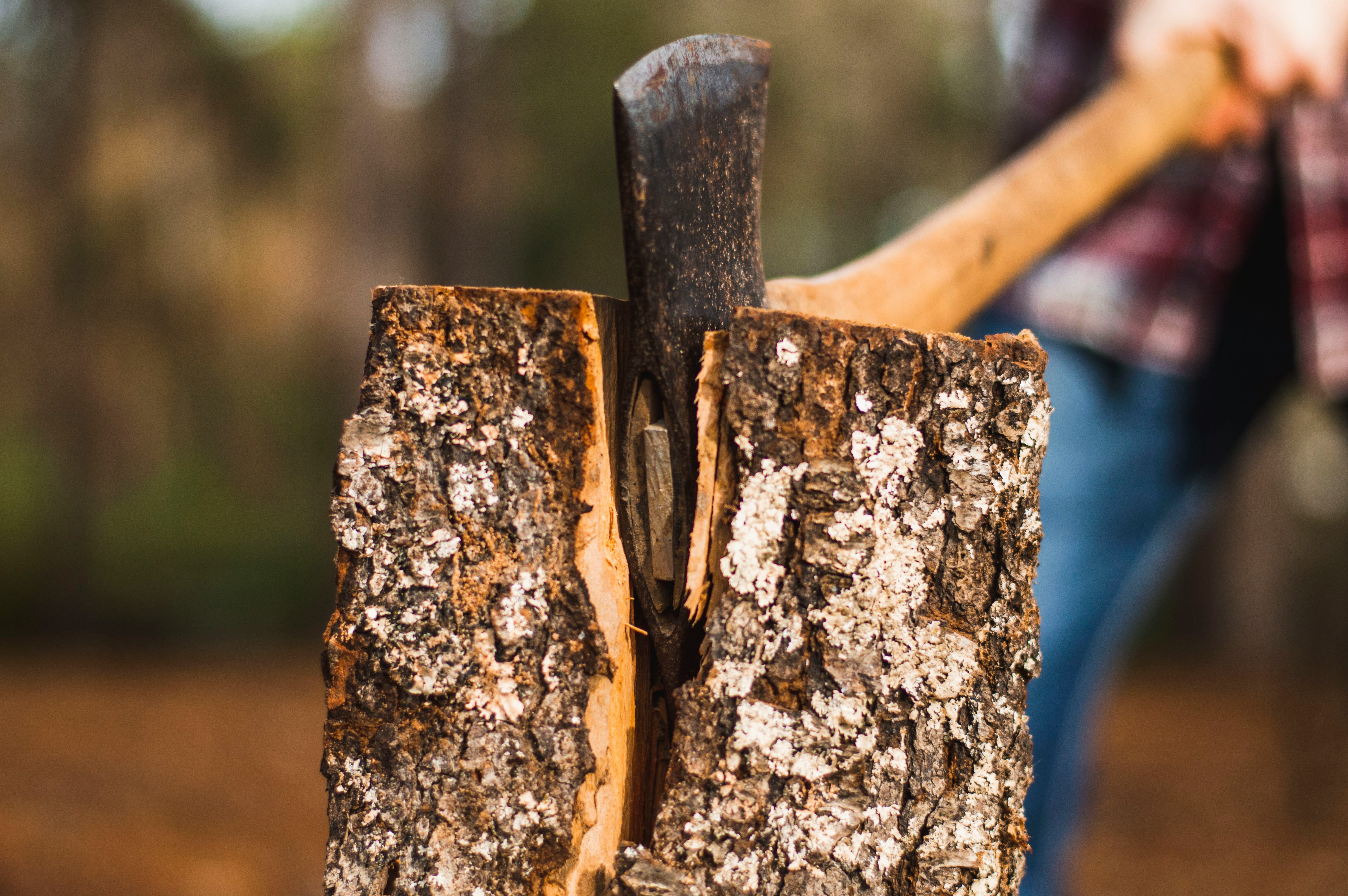Professional wood chopping in Troy