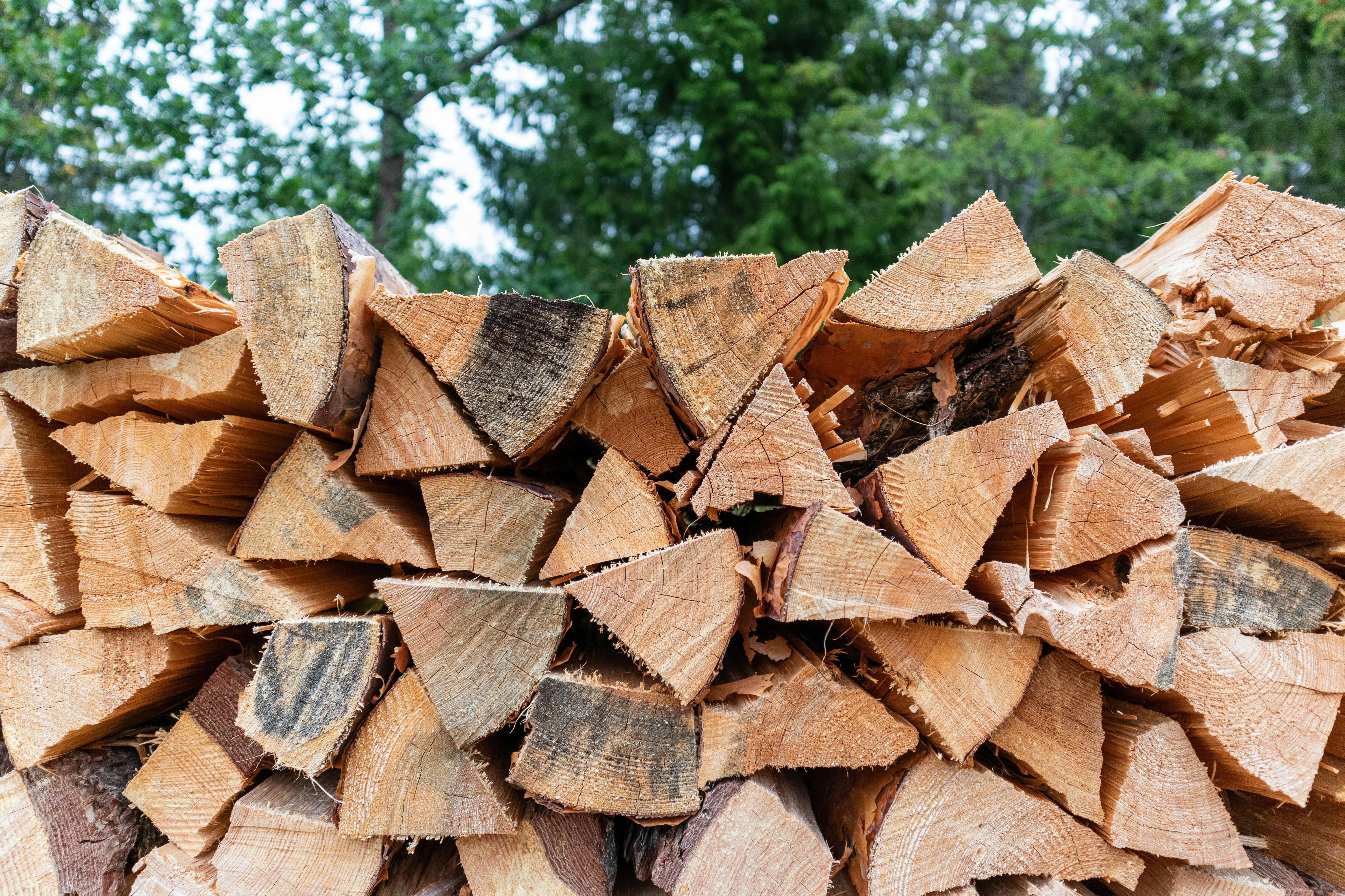 Professional bulk firewood in Novi