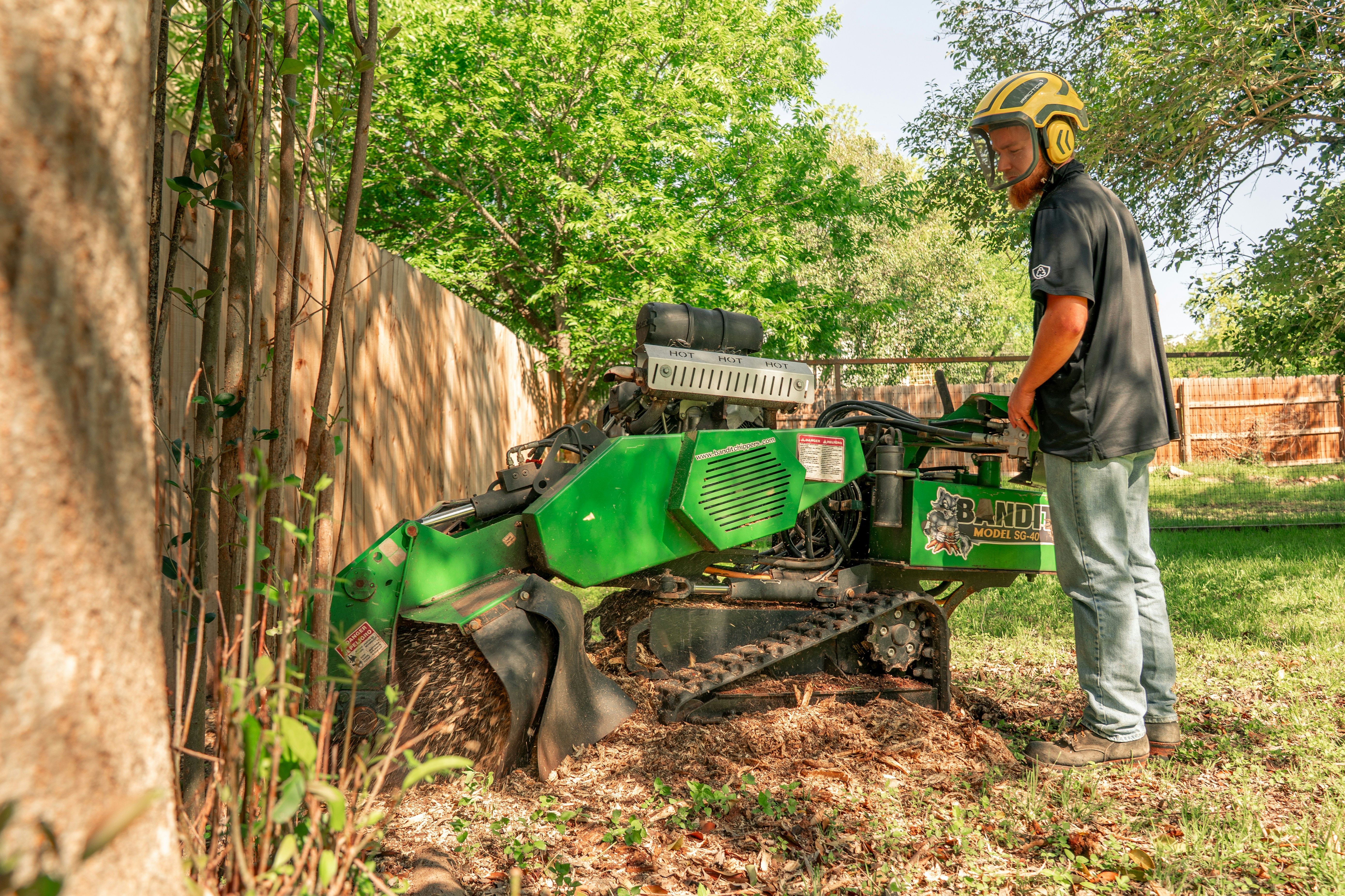 Professional stump grinding in Novi
